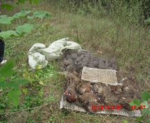 CIMG0733.JPG