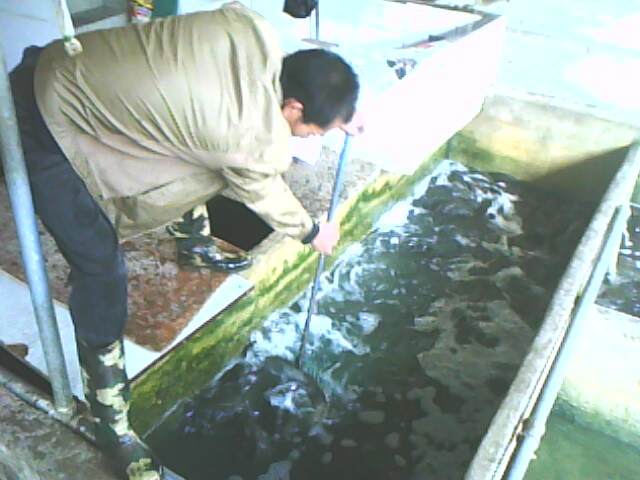 IMG0116A.jpg