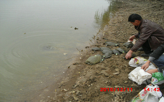 CIMG0907.JPG