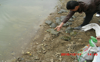 CIMG0909.JPG