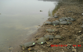 CIMG0911.JPG