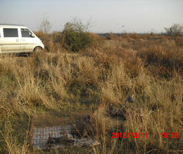 CIMG0928.JPG