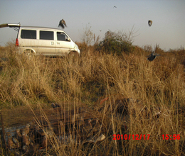 CIMG0923.JPG