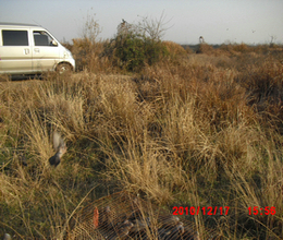 CIMG0929.JPG