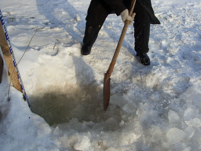 SDC16319.jpg