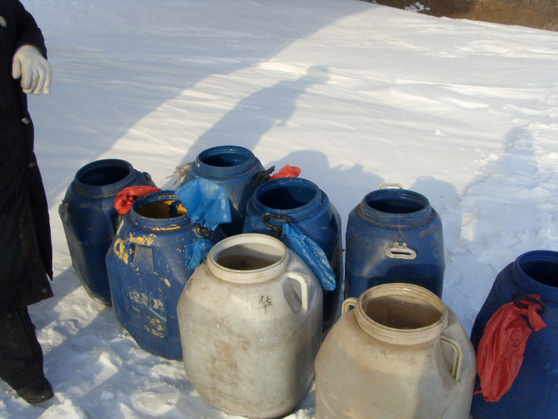 SDC16336.jpg
