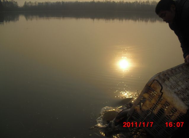 CIMG0971 (8).JPG