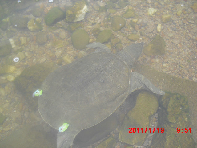 CIMG1049.JPG