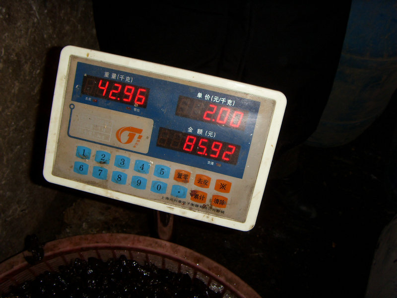 SDC16567.JPG