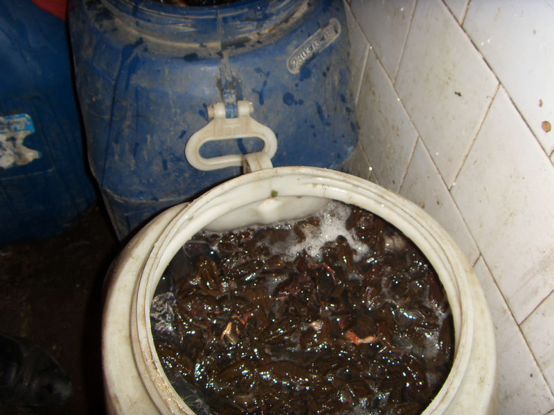 SDC16576.JPG