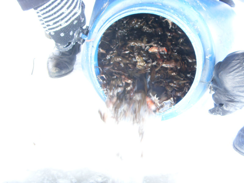SDC16597.JPG