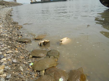 DSCN0331.JPG