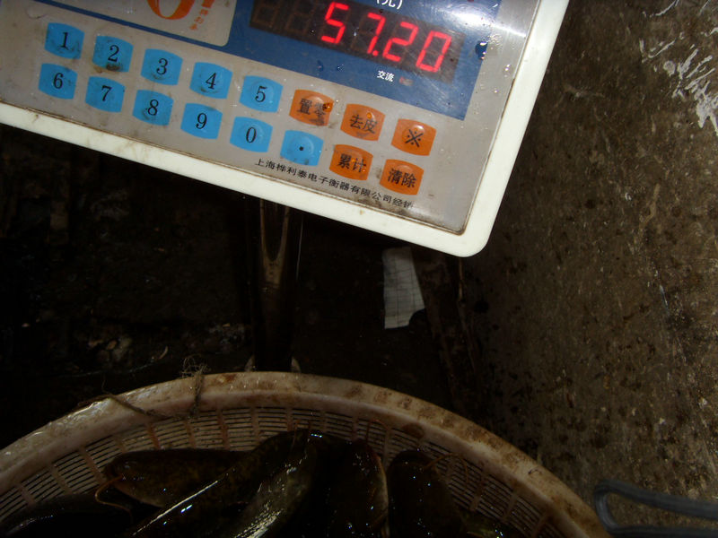 SDC17443.JPG