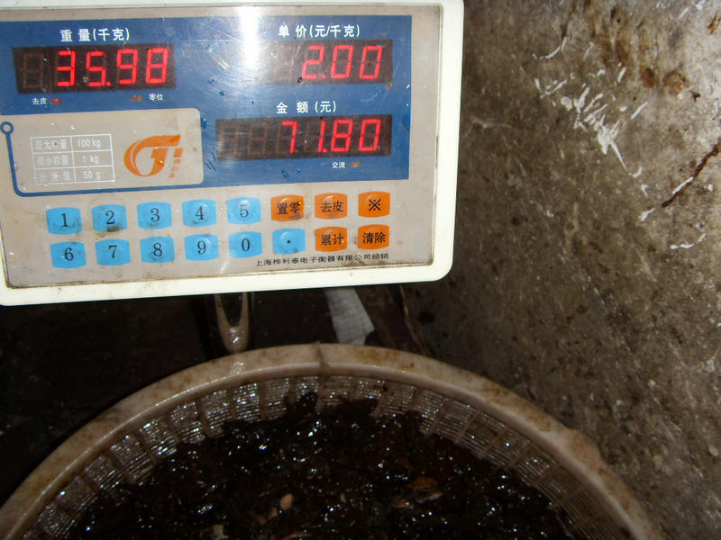 SDC17462.JPG
