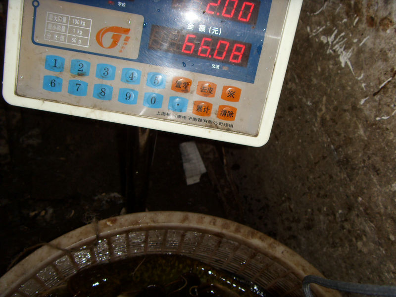 SDC17447.JPG