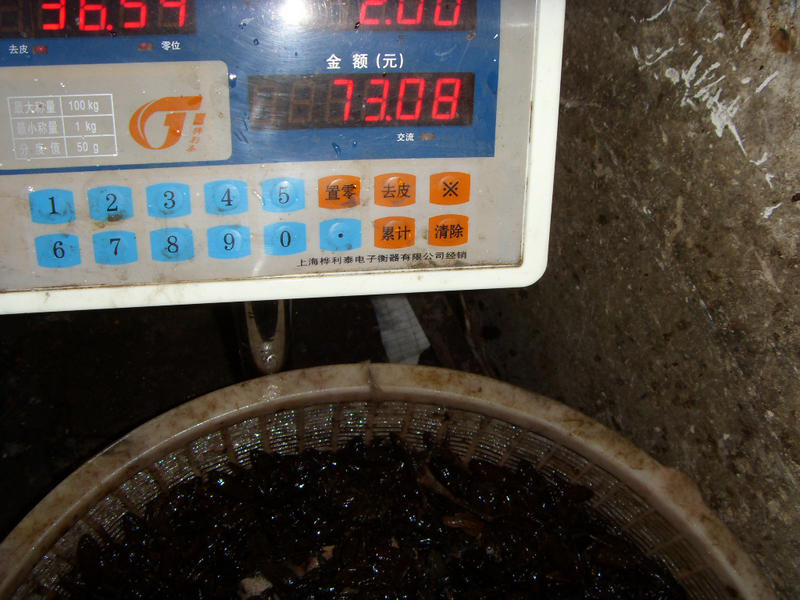 SDC17464.JPG