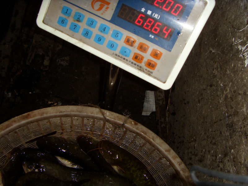 SDC17440.JPG
