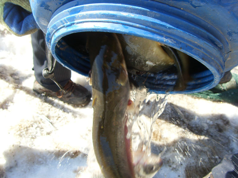 SDC17520.JPG