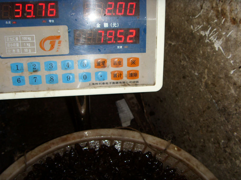 SDC17460.JPG