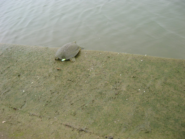 IMG_5328.JPG