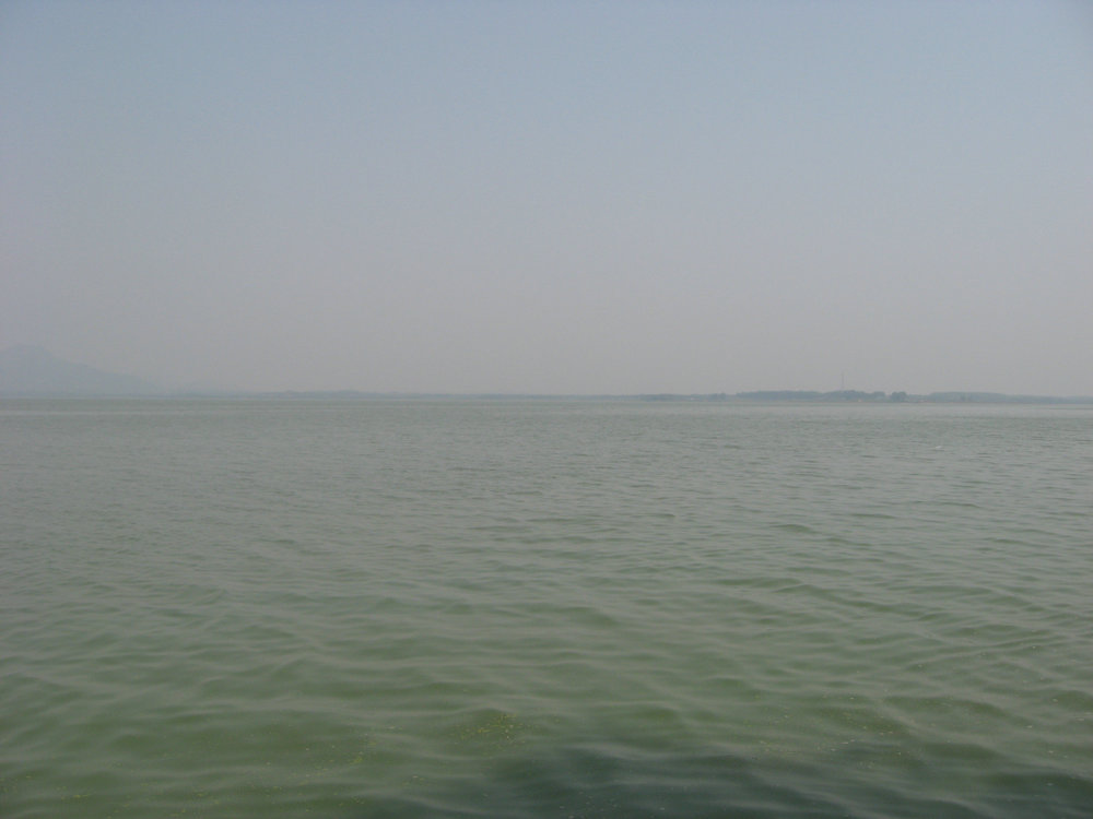 IMG_5572.JPG
