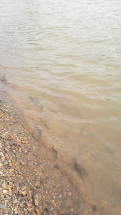 2012-05-12-035_.jpg