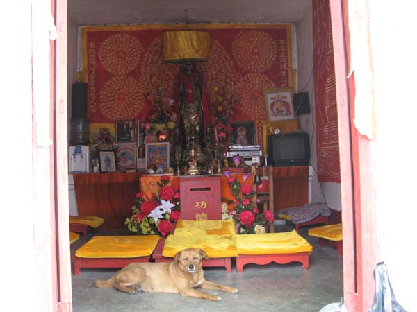 Ƭ 008.jpg