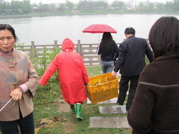 Ƭ 080.jpg