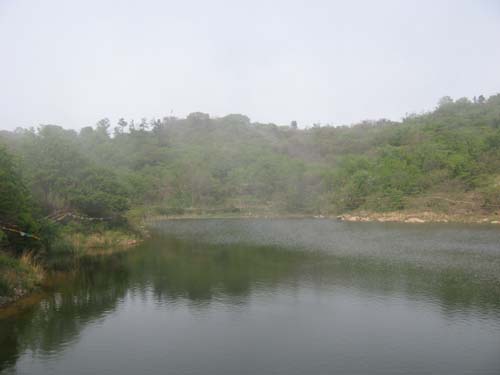 Ƭ 039.jpg