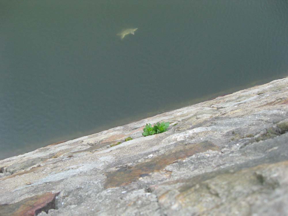 Ƭ 040.jpg