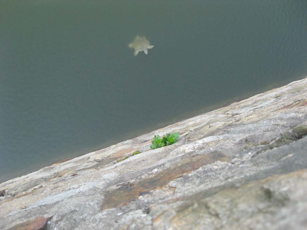 Ƭ 041.jpg