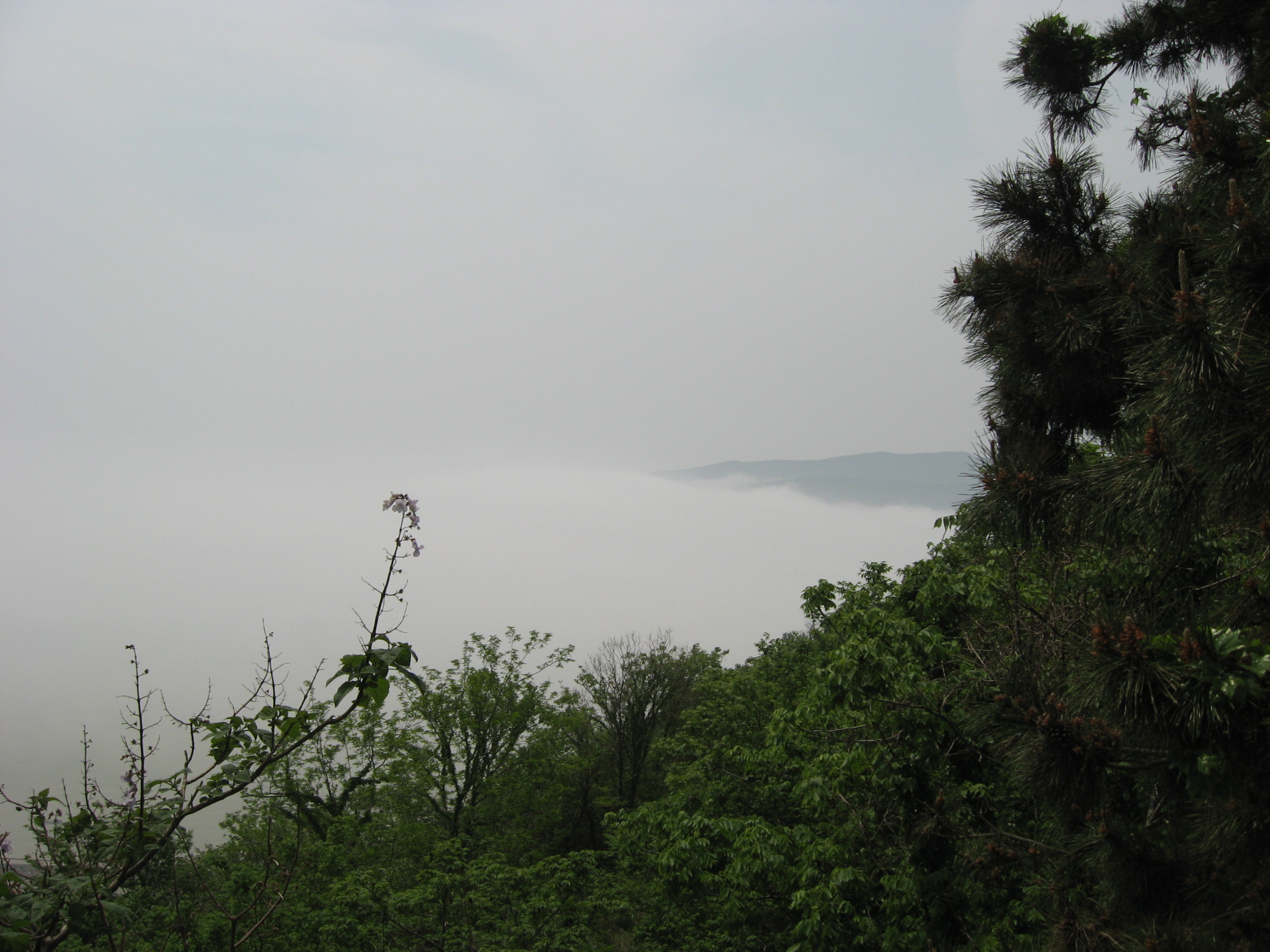 Ƭ 027.jpg