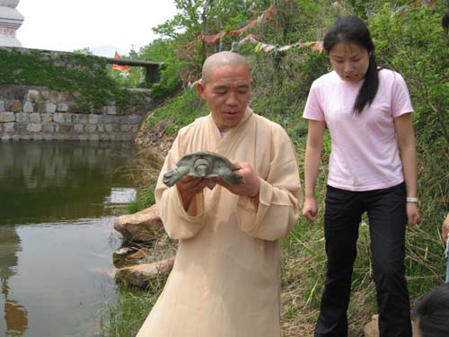 Ƭ 009.jpg