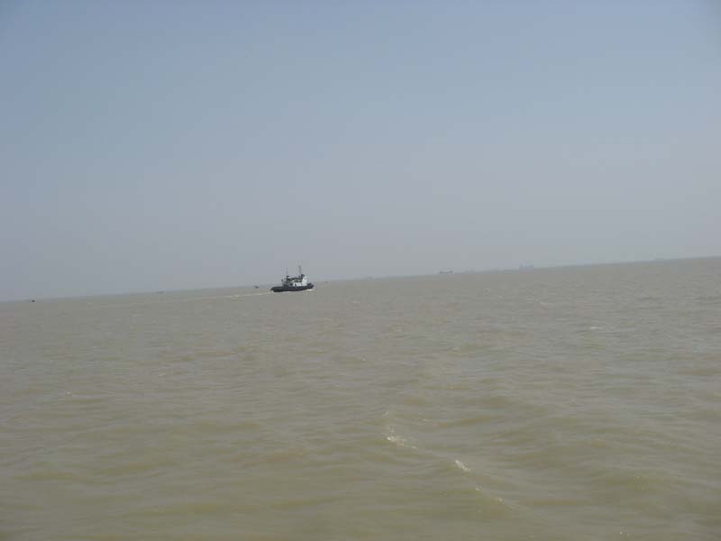 Ƭ 071.jpg