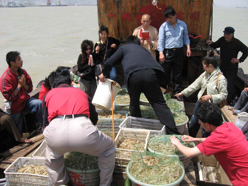 Ƭ 045.jpg