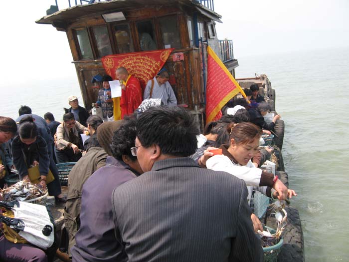 Ƭ 027.jpg