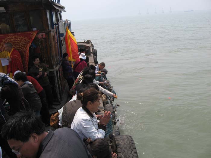 Ƭ 029.jpg