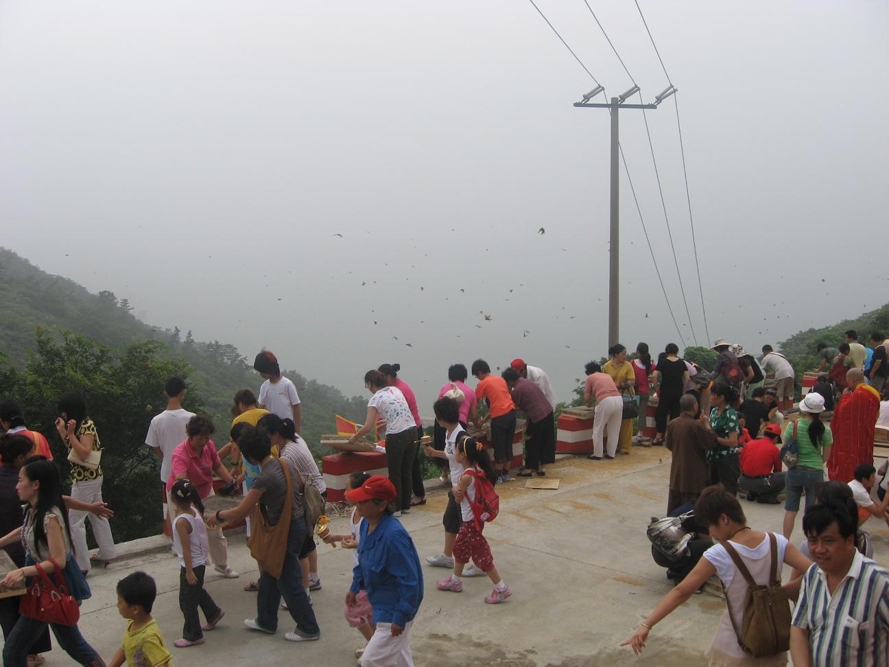 Ƭ 012.jpg