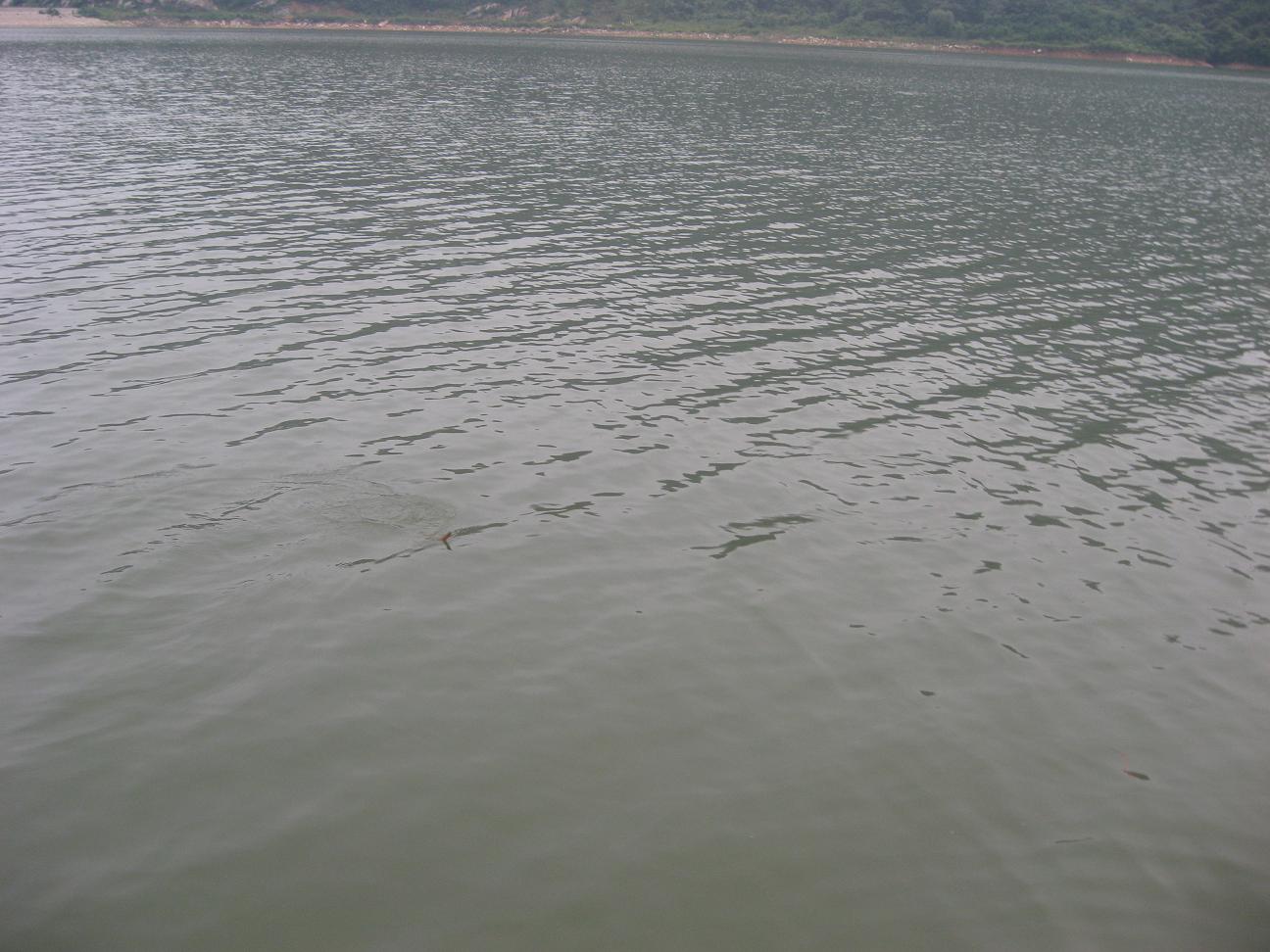 Ƭ 035.jpg