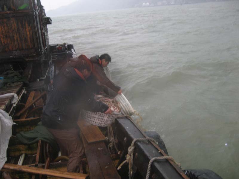 a 009.jpg