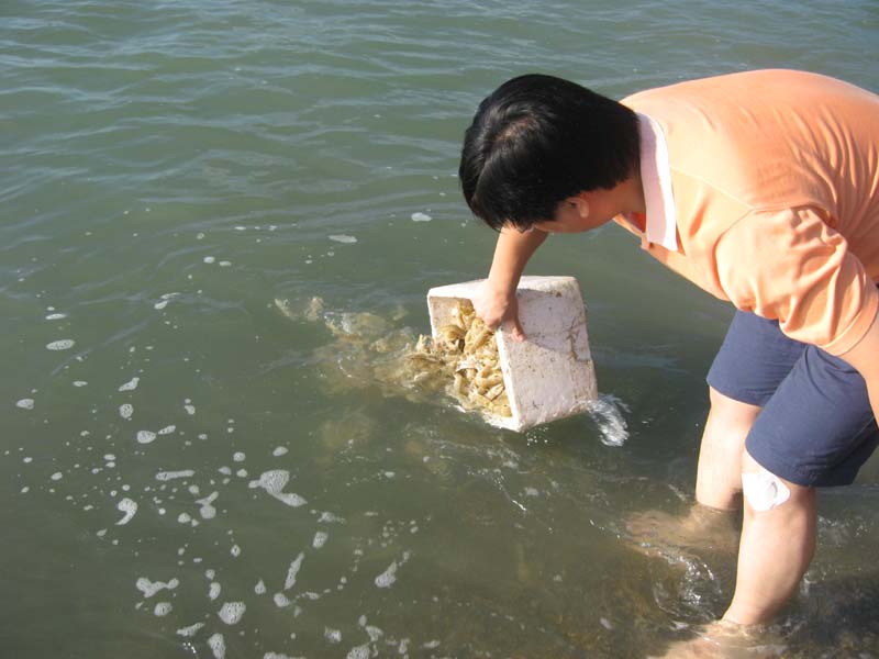 Ƭ 094.jpg