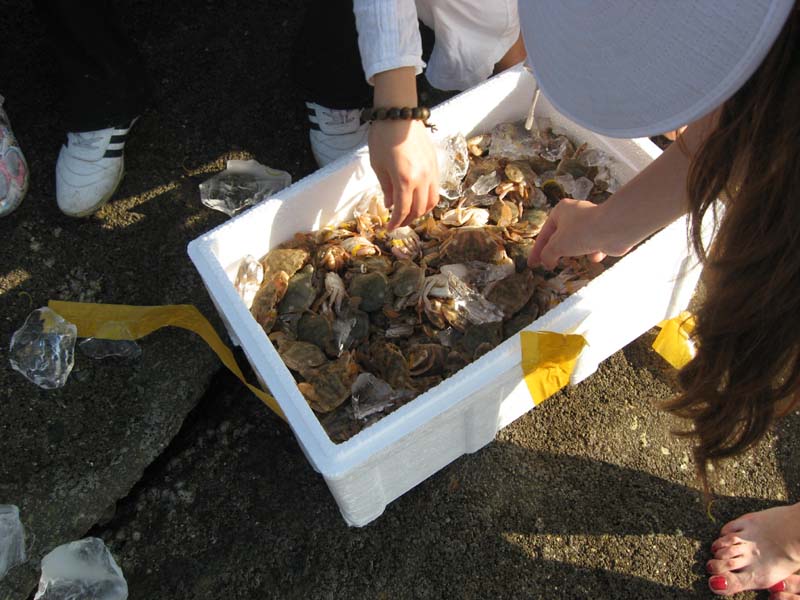 Ƭ 092.jpg