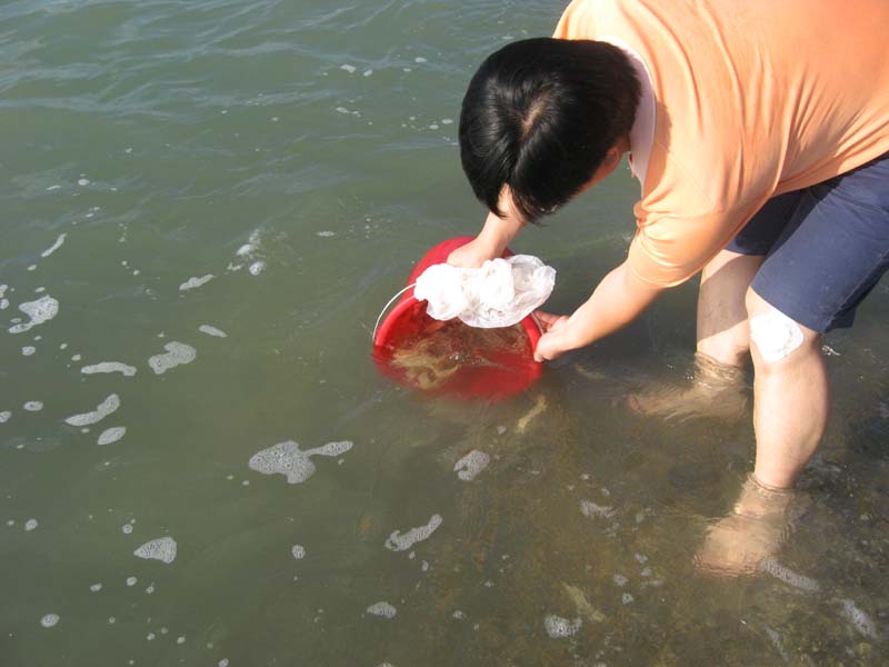 Ƭ 095.jpg
