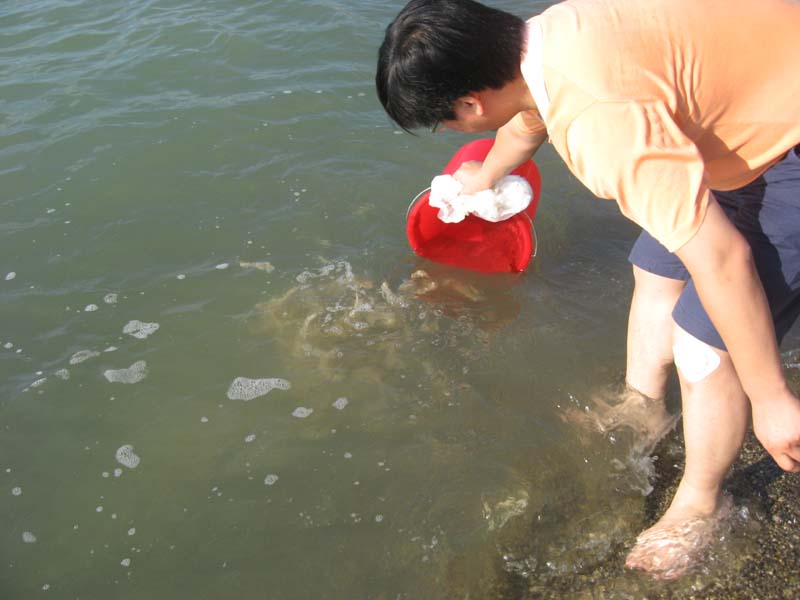 Ƭ 096.jpg
