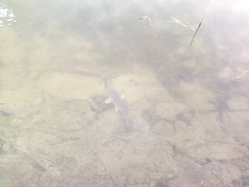 Ƭ-0034.jpg