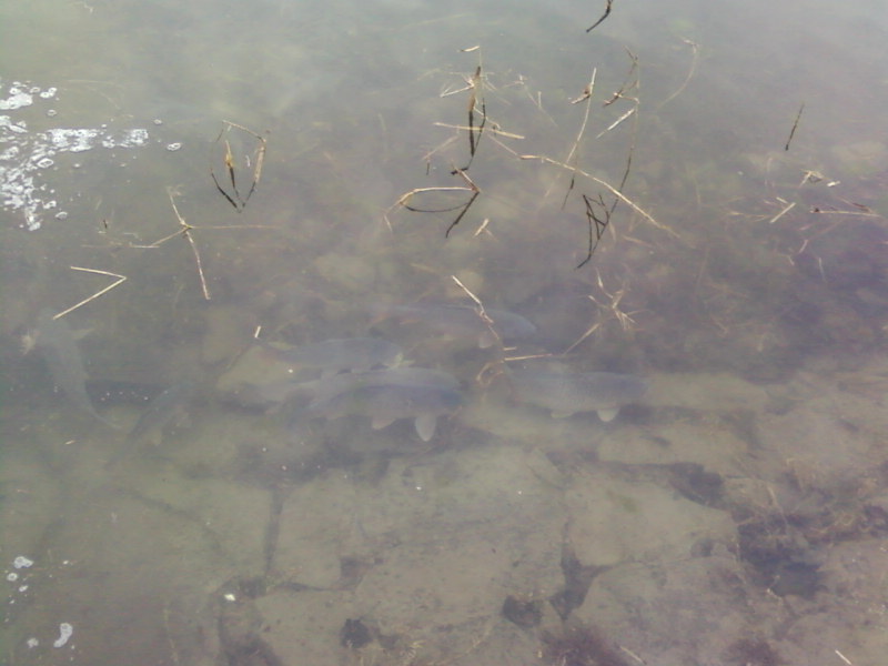 Ƭ-0028.jpg
