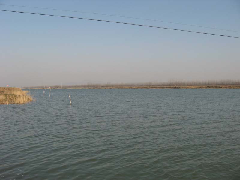 Ƭ 044.jpg