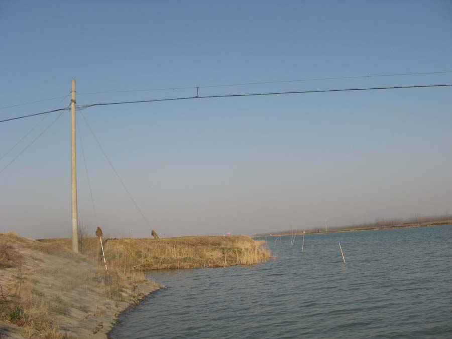 Ƭ 064.jpg
