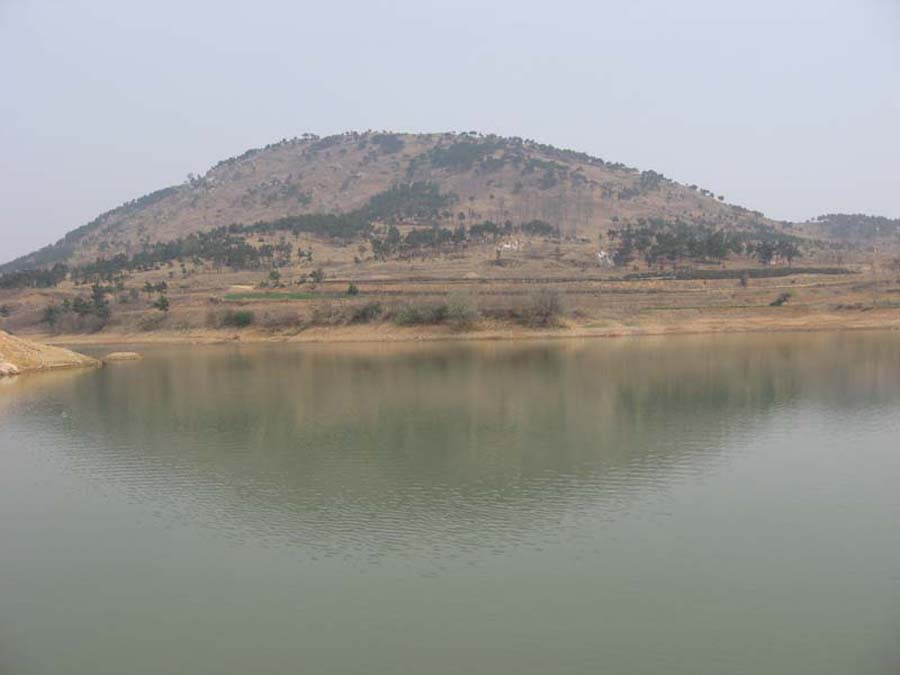 IMG_1269.jpg