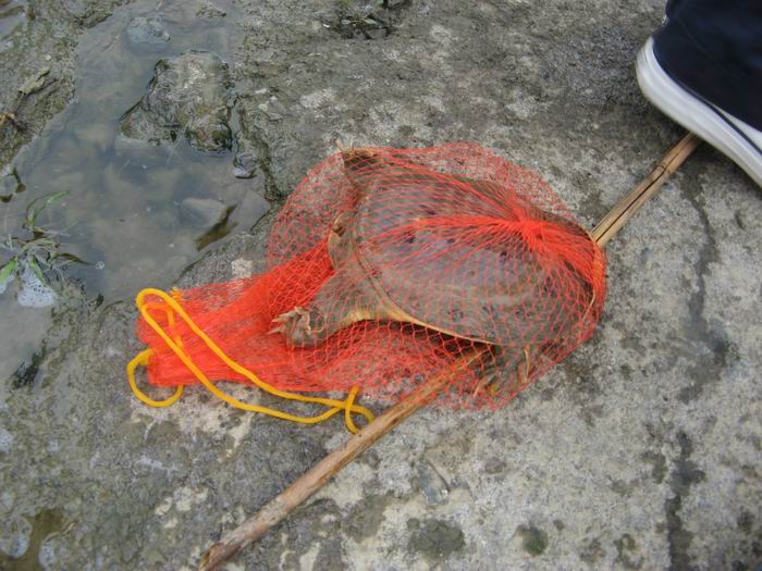 img4.jpg